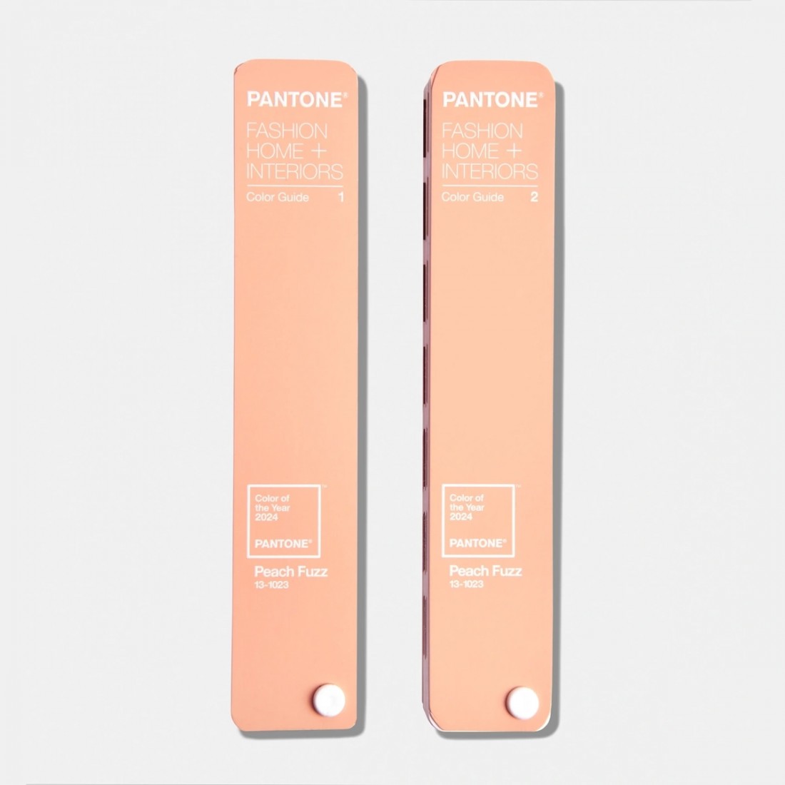 PANTONE COLOR GUIDE LIMITED EDITION, PANTONE COLOR OF THE YEAR 2024